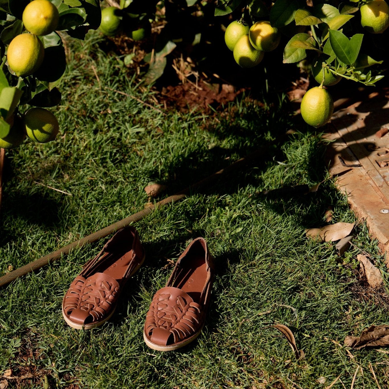 Brown sandals on grass with lemon tree in the background
