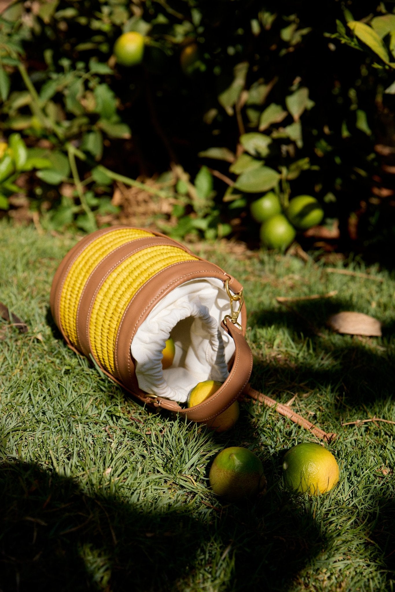 Yellow and brown cylindrical bag on grass with green fruits around